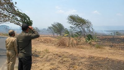 BMKG Ingatkan Kekeringan, Angin Kencang, dan Risiko Karhutla di Jawa Barat