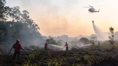Hotspot Karhutla Turun, Kemenhut Perkuat Pemadaman di Kalimantan dan Sumatera